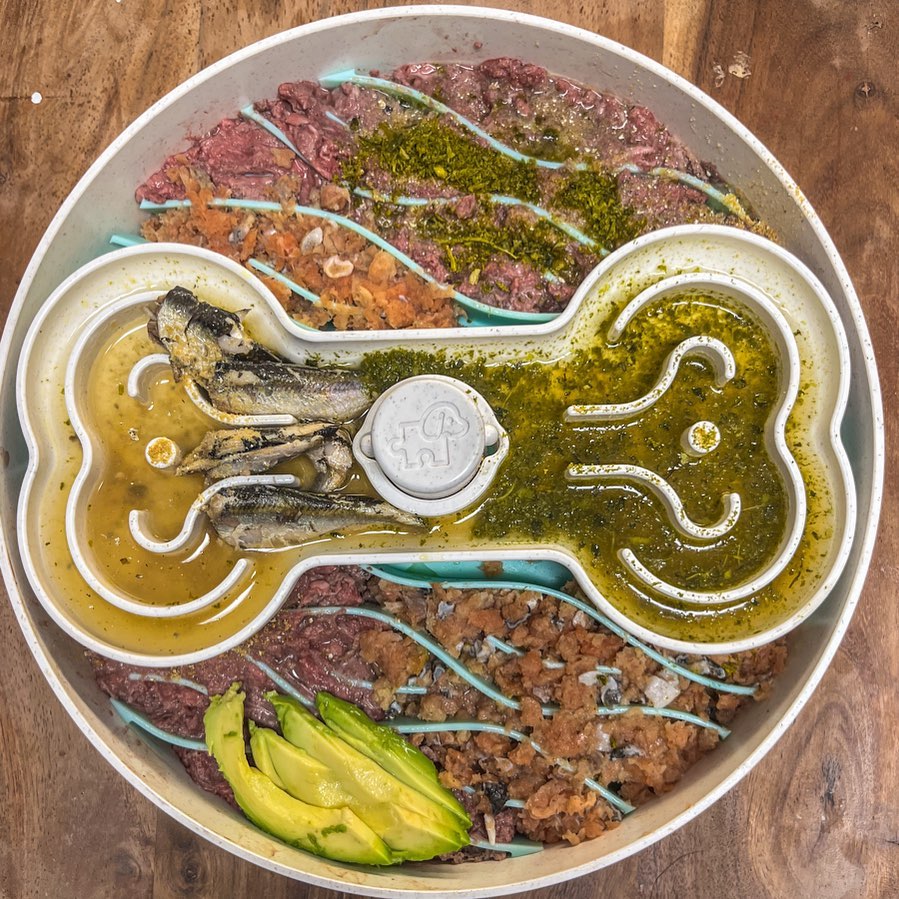 vet approved homemade recipes for dogs