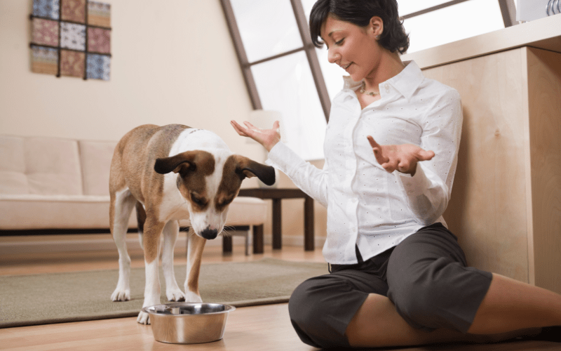 Benefits of Dog Slow Eating