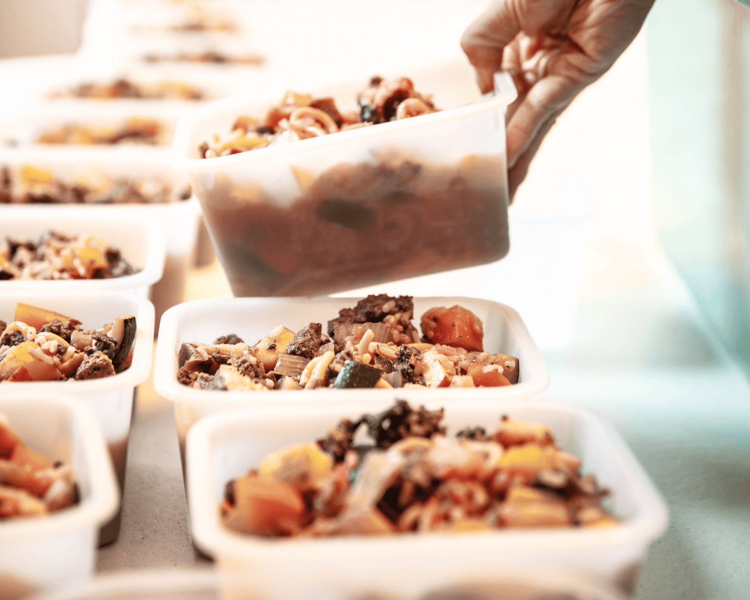 How to choose the right dog food