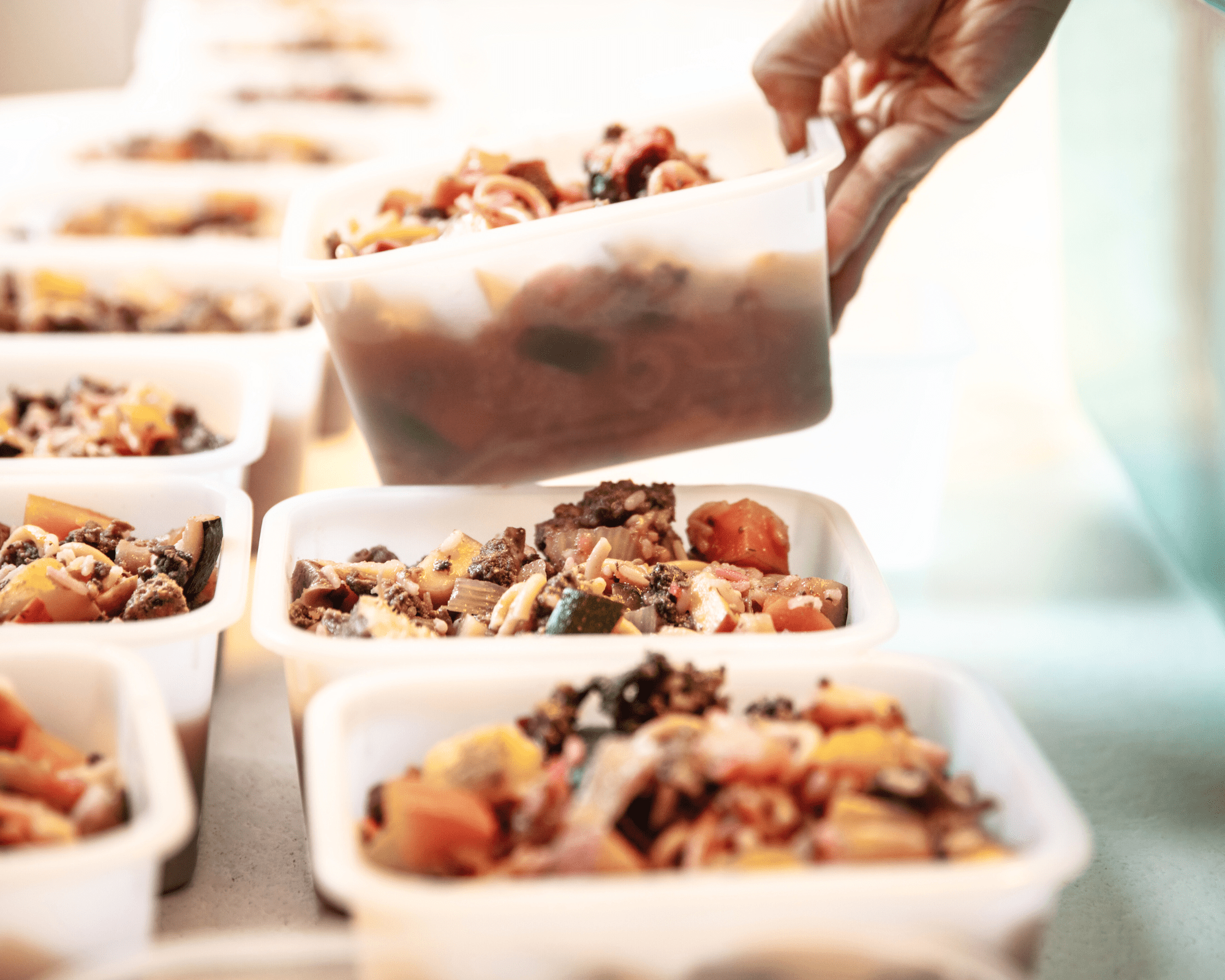 How to choose the right dog food