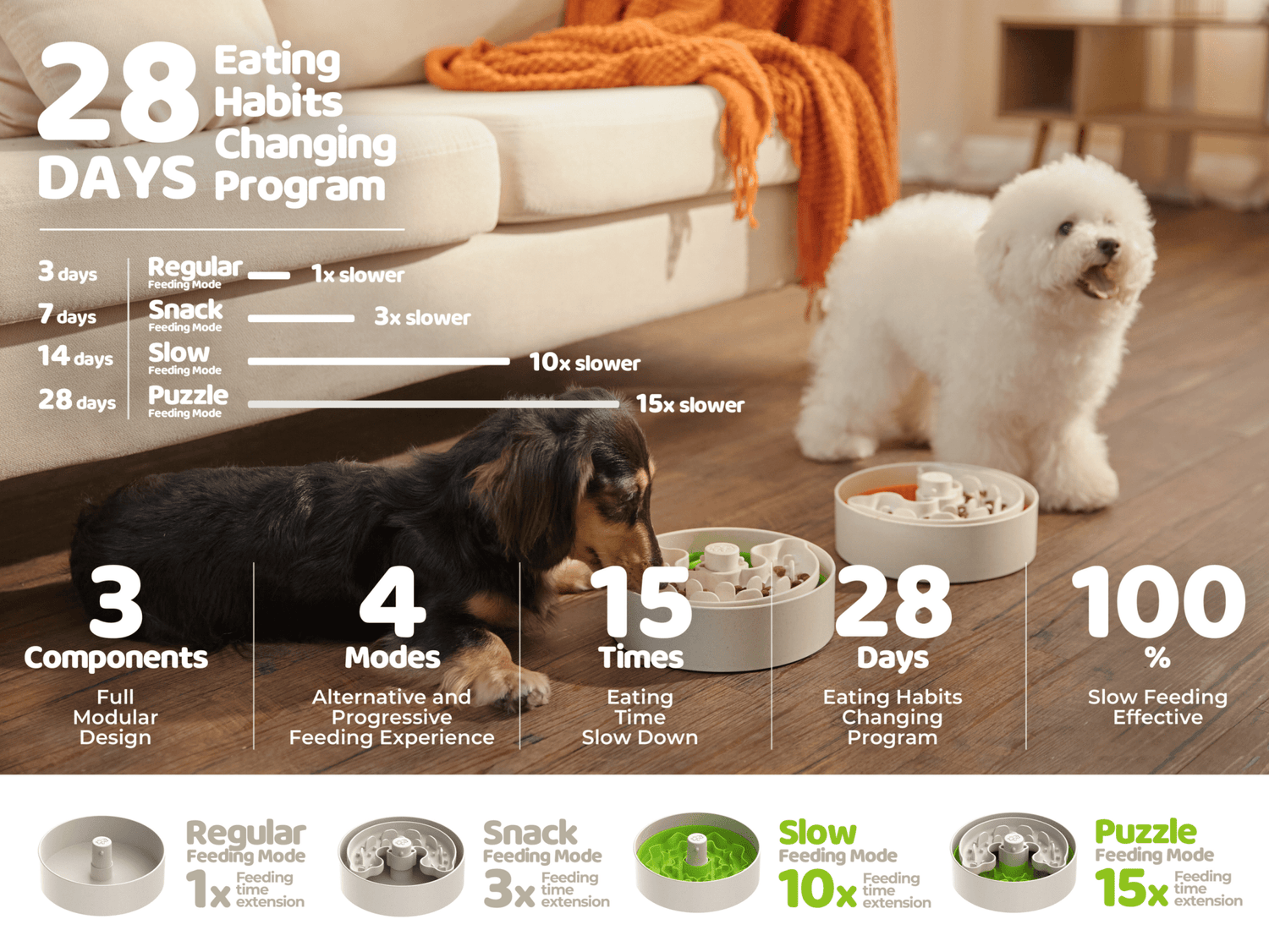 Dog Healthy Eating
