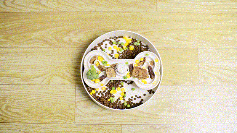 A puzzle feeder bowl with compartments filled with kibble, wet dog food, and vegetables is placed on a wooden floor.