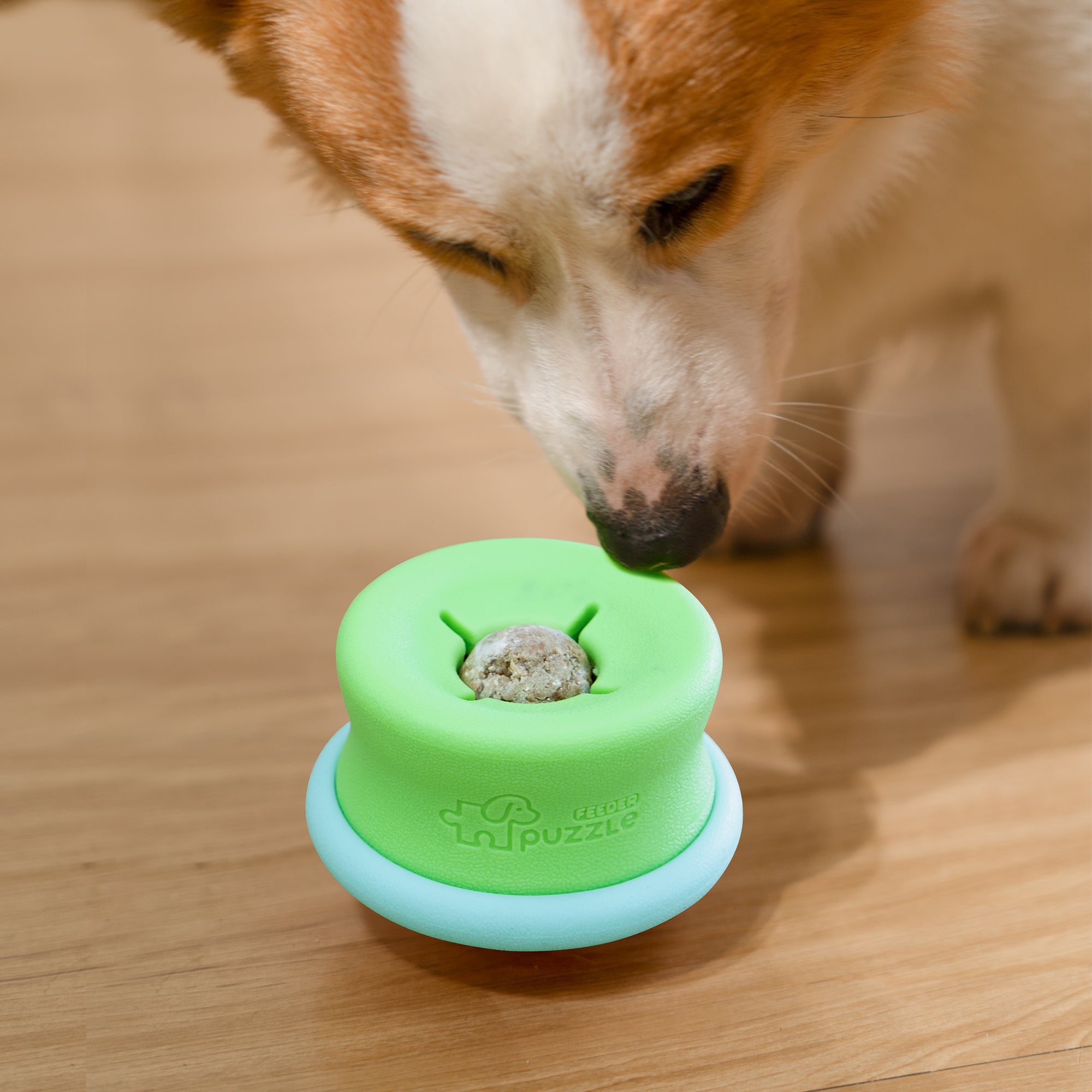 A dog sniffs a blue PuzzleFeeder™ Puzzle Lickpop, an Interactive Enrichment Dog Toy for slow feeding, treat dispensing, and freezable fun on a wooden floor.