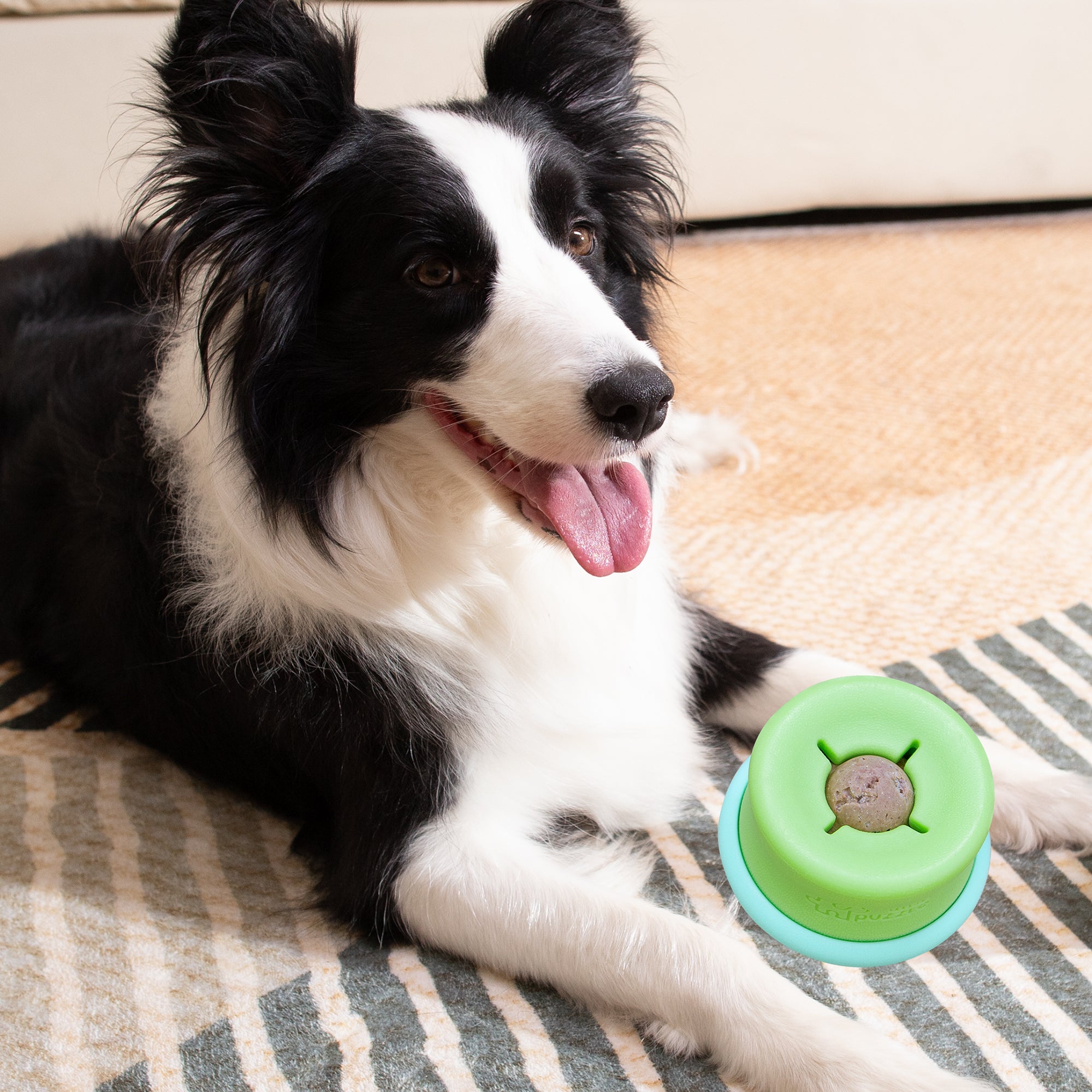 A black and white dog lies on a striped rug with its tongue out next to the PuzzleFeeder™ Puzzle Lickpop Blue—an interactive, slow-feeding, treat-dispensing toy by PuzzleFeeder™ designed for enrichment and freezable fun.