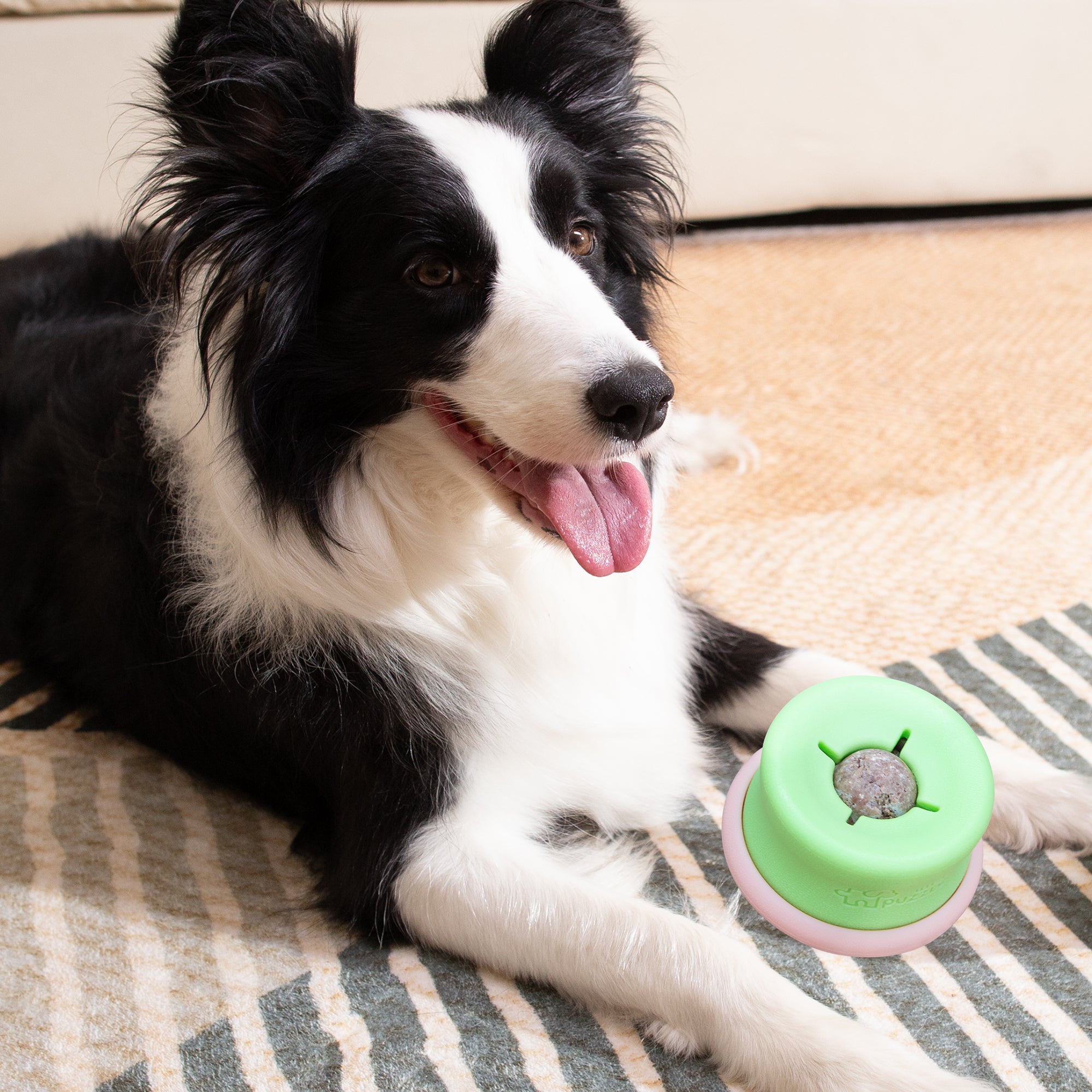 A black and white dog with its tongue out relaxes on a striped rug, resting a paw near the PuzzleFeeder™ Puzzle Lickpop Blue, an interactive enrichment toy for slow feeding and treat dispensing.