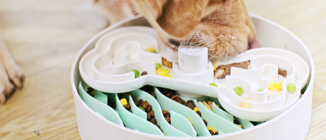 A dog eagerly munches kibble, peas, and corn from a stylish dog bowl. This slow feeder features a wavy, bone-shaped design that adds both fun and function to mealtime.