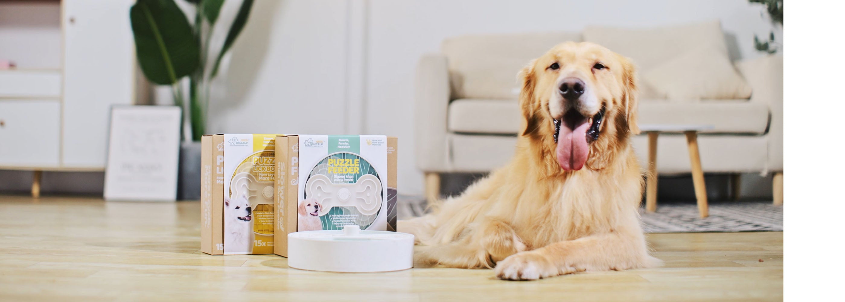 A golden retriever lies on the floor next to several pet product boxes and a white slow down feeder bowl in a cozy living room setting.