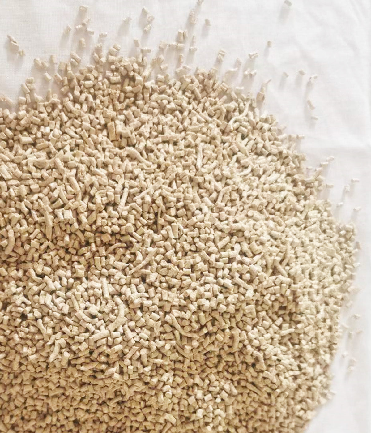 A pile of small, beige granules scattered in a feeder bowl on a white surface.