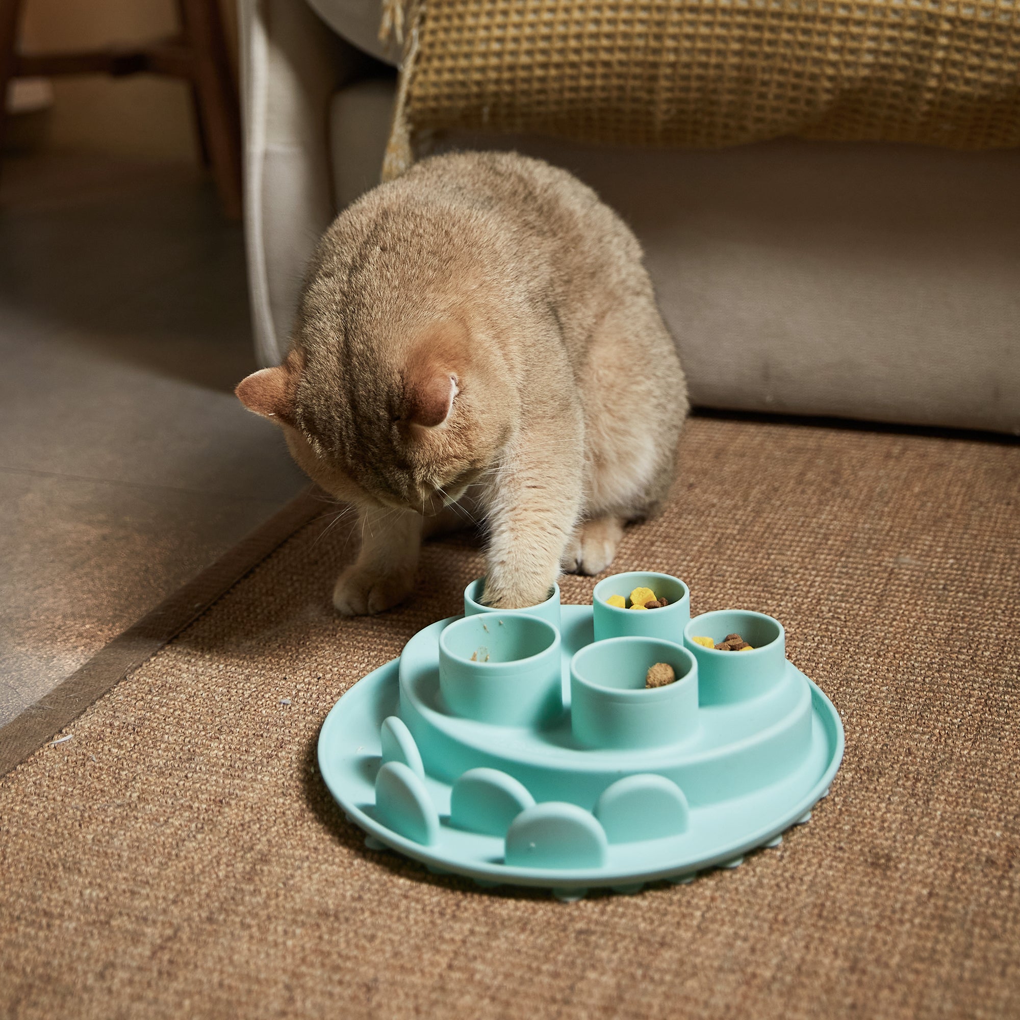 In a cozy living room setting, a cat engages with the Puzzle Feeder™ Puzzle Digger in lawn-green on a rug, showcasing its hunting instinct with this biomimetic design feeding puzzle.
