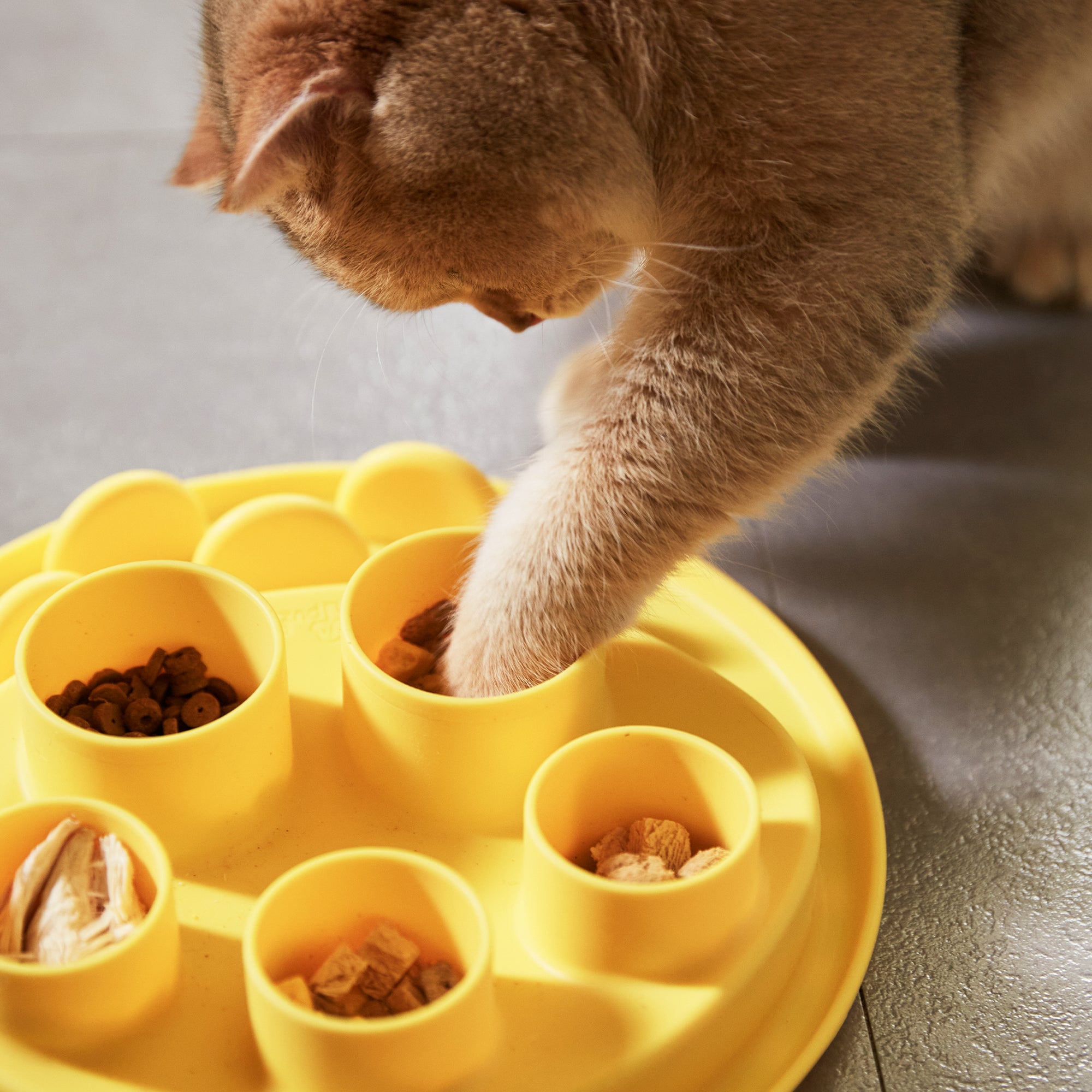 A brown cat, tapping into its hunting instinct, uses its paw to reach for treats in a Puzzle Feeder™ Puzzle Digger, wheat-yellow in color and made from safe materials, placed on a gray floor.