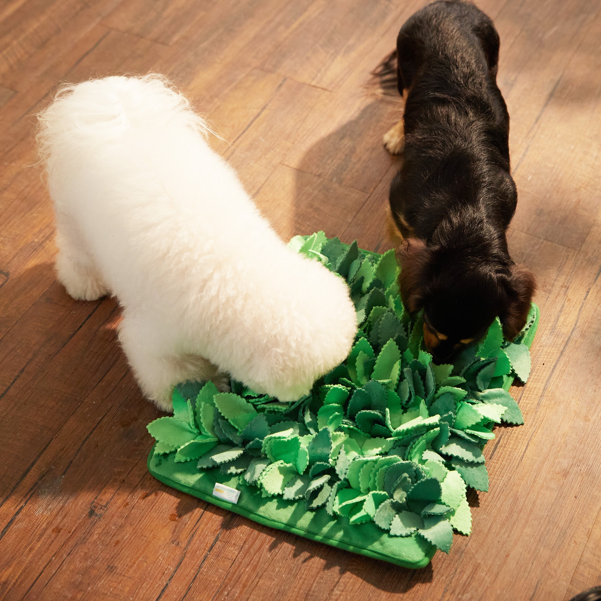 Two dogs curiously sniff at a green Dog Puzzle Grass Sniffle Mat - Hide, Seek, Feast! by Puzzle Feeder™ on a wooden floor, enjoying sensory stimulation akin to realistic grass.