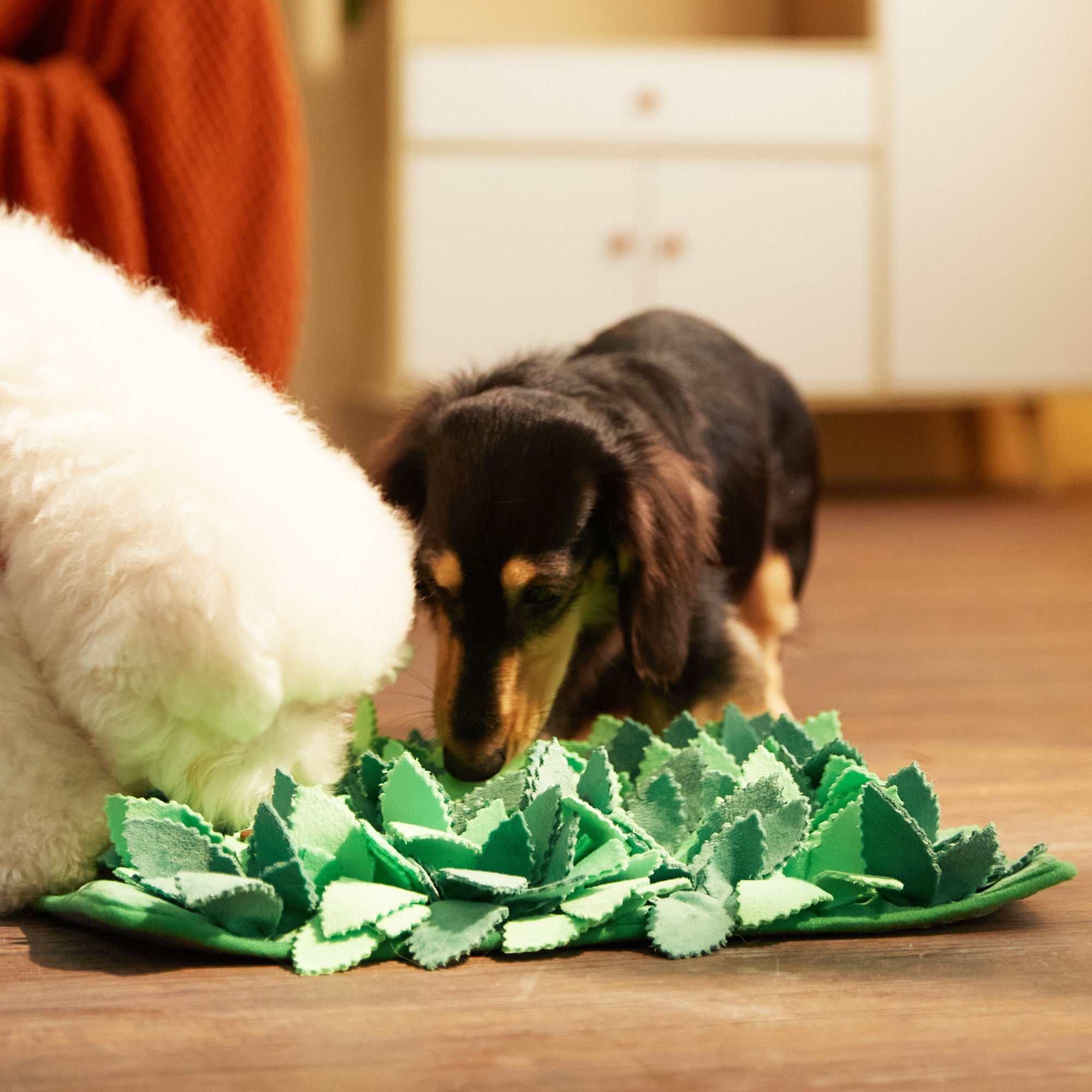 Two dogs explore the Puzzle Feeder™ Dog Puzzle Grass Sniffle Mat - Hide, Seek, Feast! (Green), designed for sensory stimulation, on a wooden floor in a cozy room.