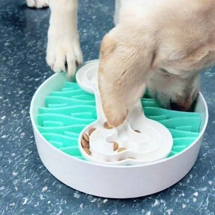 A dog eating from a puzzle feeder bowl with green and white sections, designed to slow down meal times and promote healthier eating habits.