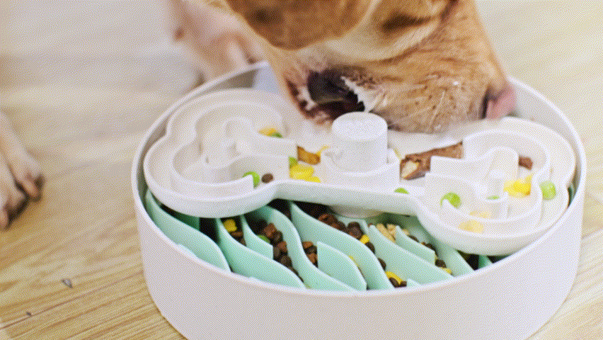 A dog relishes its meal from a Puzzle Feeder™ slow feeder bowl, part of the Starter Bundle Deal, which is white with wavy partitions and a bone-shaped design, encouraging healthy eating habits by mixing kibble with vegetables.
