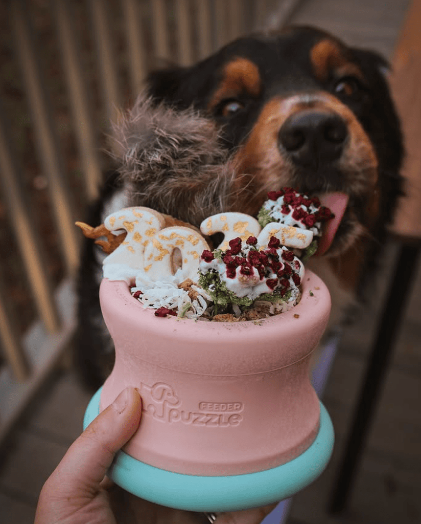 PuzzleFeeder™ - Slower than a slow feeder