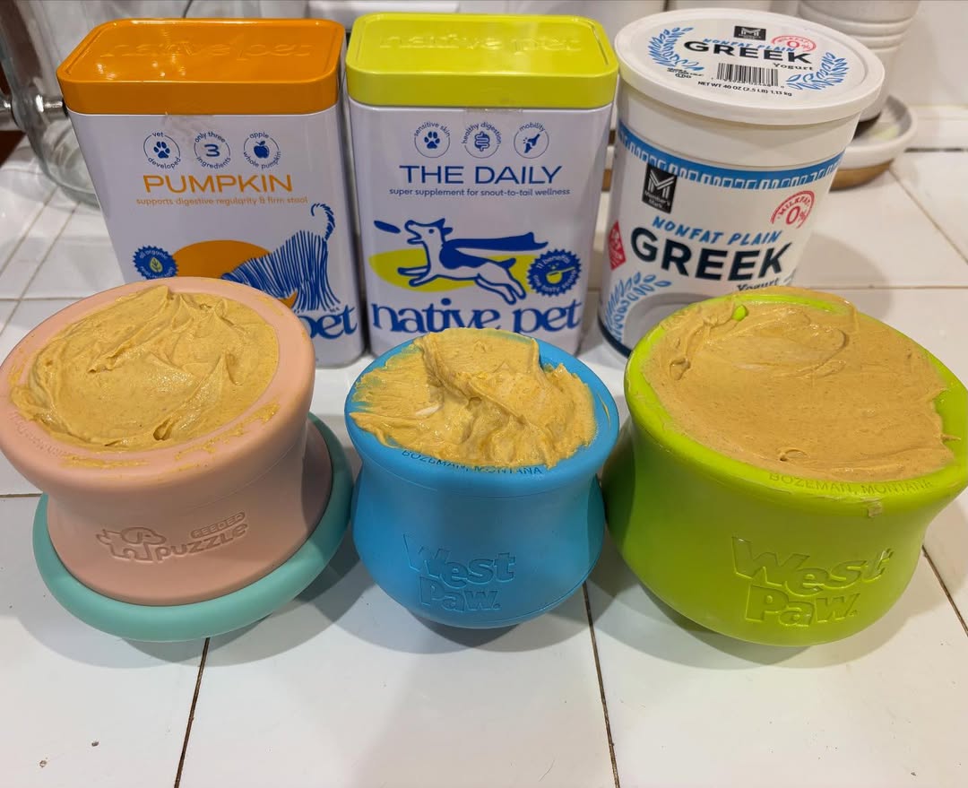 Dog puzzle feeders filled with pumpkin and Greek yogurt mixture