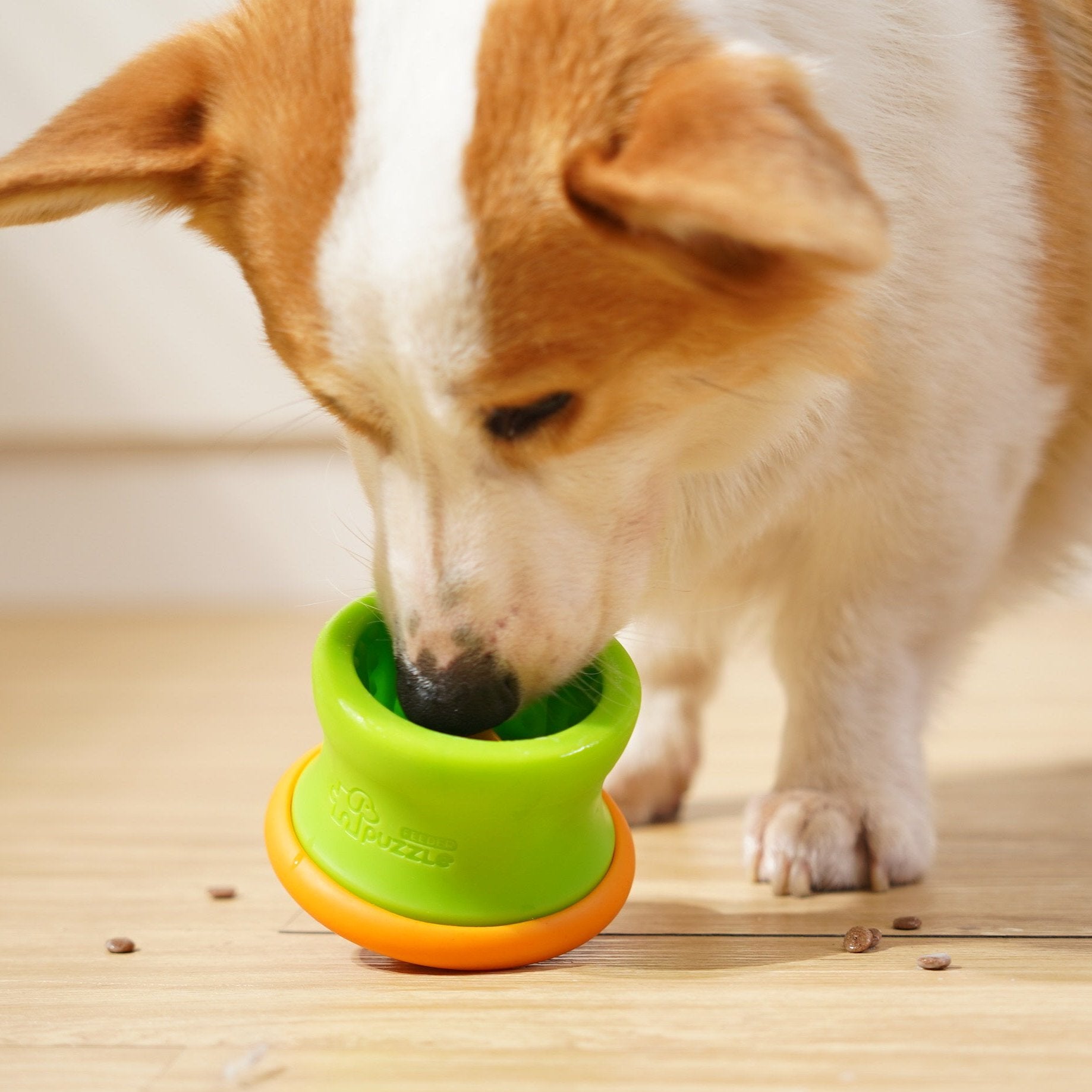 A dog interacts with a Puzzle Feeder™ Dog Puzzle Tumbler M, a dishwasher-safe toy in green and orange, on the wooden floor, turning mealtime into an eco-friendly OBP adventure.