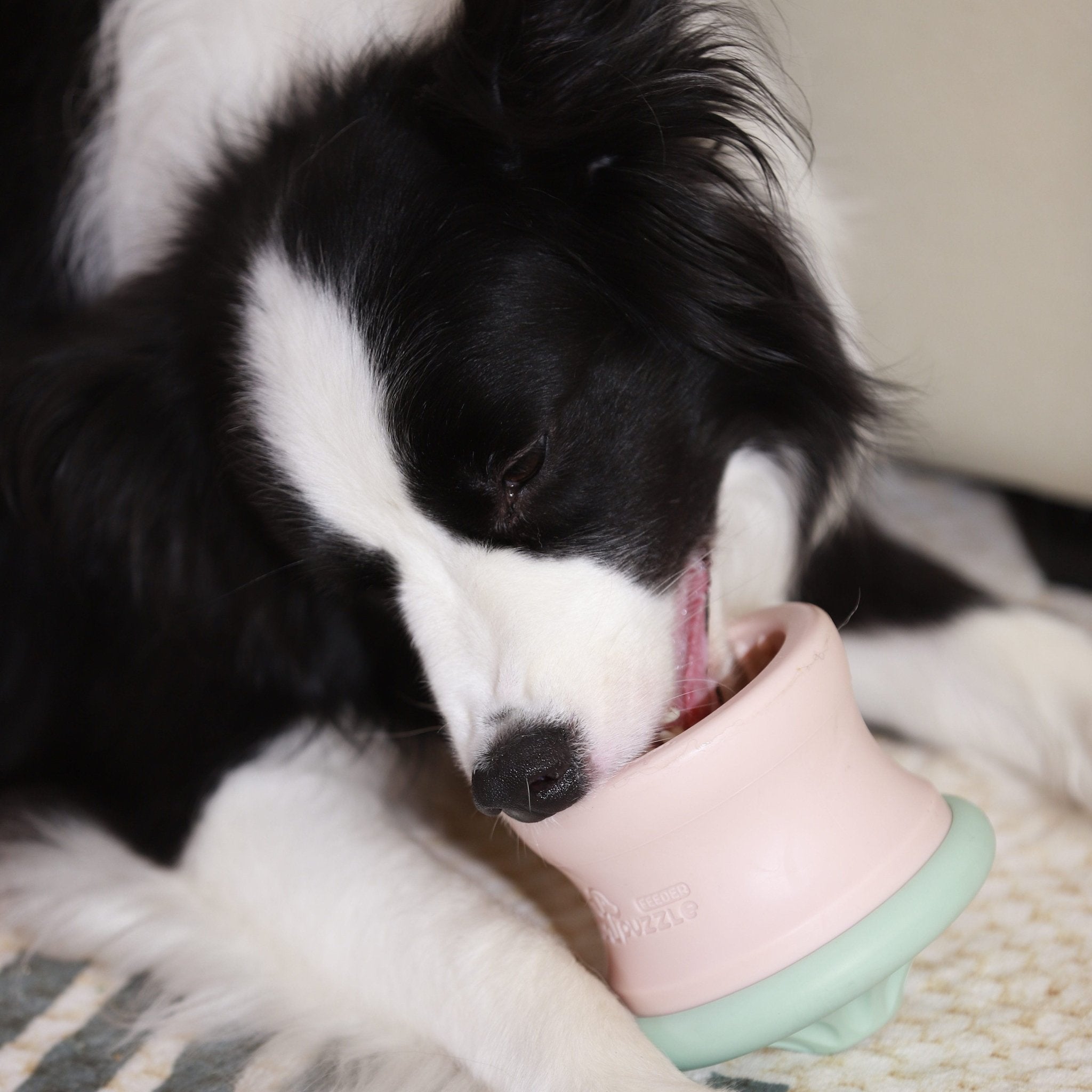 A black and white dog is chewing on a light pink and mint green Dog Puzzle Tumbler - Puzzle Feeder Enrichment Toy from Puzzle Feeder™ made from eco-friendly materials while lying on a patterned surface.