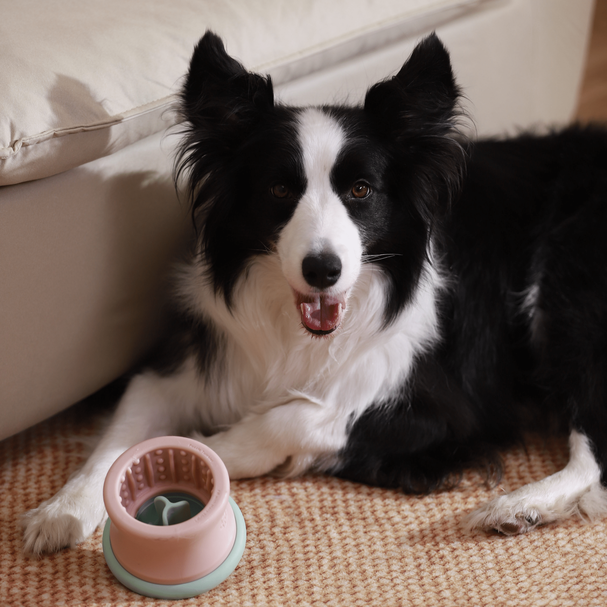 A black and white dog lies on a carpet next to the Puzzle Feeder™ Dog Puzzle Tumbler - an interactive feeding bowl designed for L/XL pups and made of eco-friendly material. The dog, with its mouth slightly open, looks at the camera clearly enjoying mealtime. A white couch is partially visible in the background.