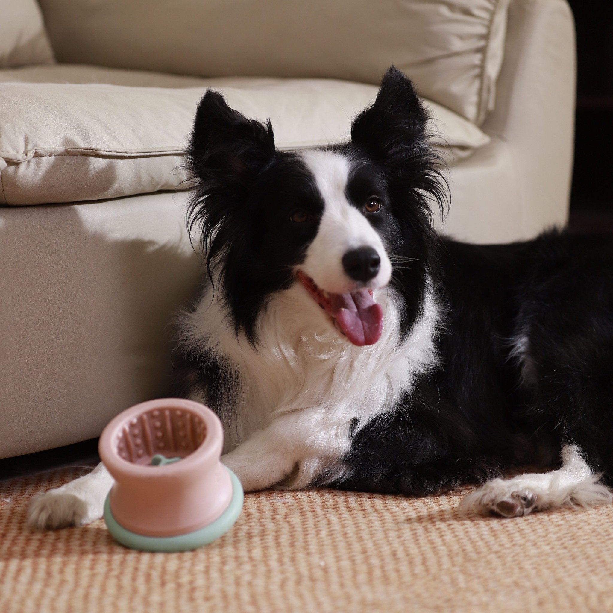 A black and white dog lies on a rug next to a beige sofa, with the Puzzle Feeder™ Dog Puzzle Tumbler - Puzzle Feeder Enrichment Toy (for L/XL Pups), colored pink and green and made of eco-friendly material, in front of it. The dog has its tongue out and looks content.