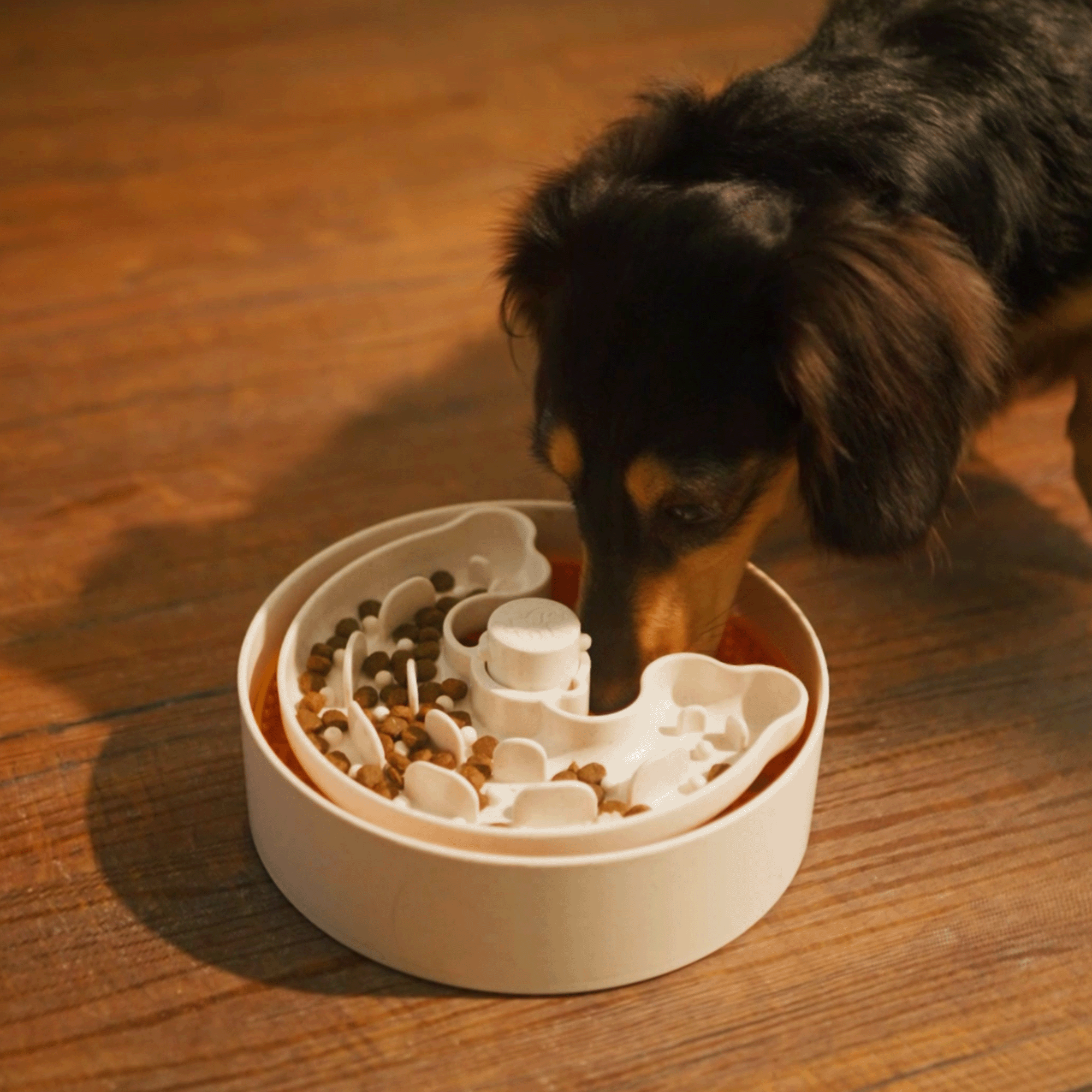 A dog eats from a slow-feed dog bowl on a wooden floor. The Dog Puzzle Lick Bowl Lite for Licking Training for S/M Breeds (Orange) by Puzzle Feeder™ features a maze-like design to encourage the dog to eat at a slower pace.