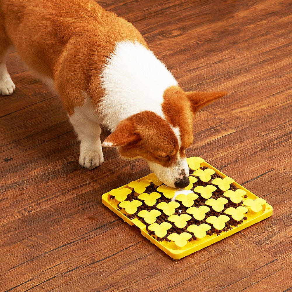 A dog eagerly uses its sniffing instinct to eat from a yellow Dog Puzzle Mat - Slow Feeding Mat by Puzzle Feeder™, securely anchored on the wooden floor by antislip suction cups.