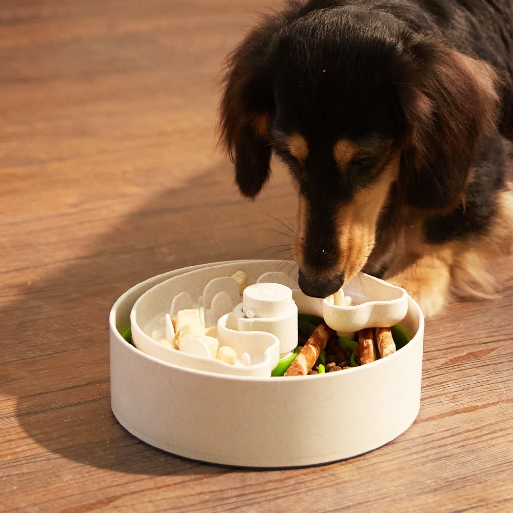 A dog eagerly interacts with the Dog Puzzle Feeder™ Junior by Puzzle Feeder™, designed for small to medium breeds, on a wooden floor. This green, round feeder is filled with nutritious dog food and treats to promote healthy eating habits.