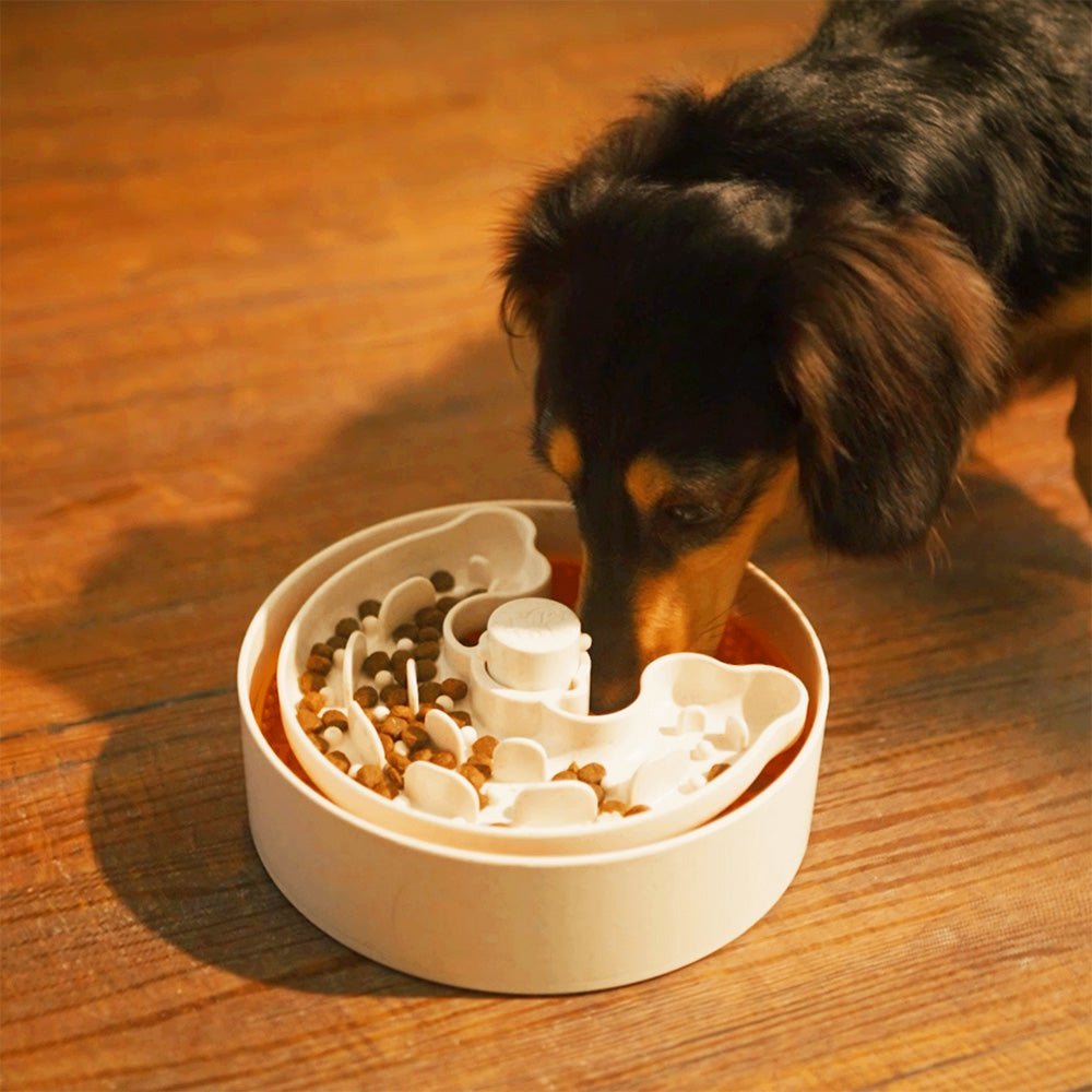 A dog enjoys its kibble from the Puzzle Feeder™ included in the Junior Bundle Deal on the wooden floor, promoting healthy eating habits with every bite.