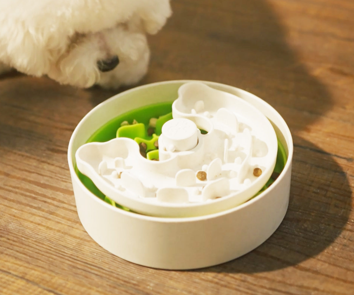 A fluffy white dog gazes curiously at a puzzle feeder filled with kibble beside its shiny dog bowl on the wooden floor.