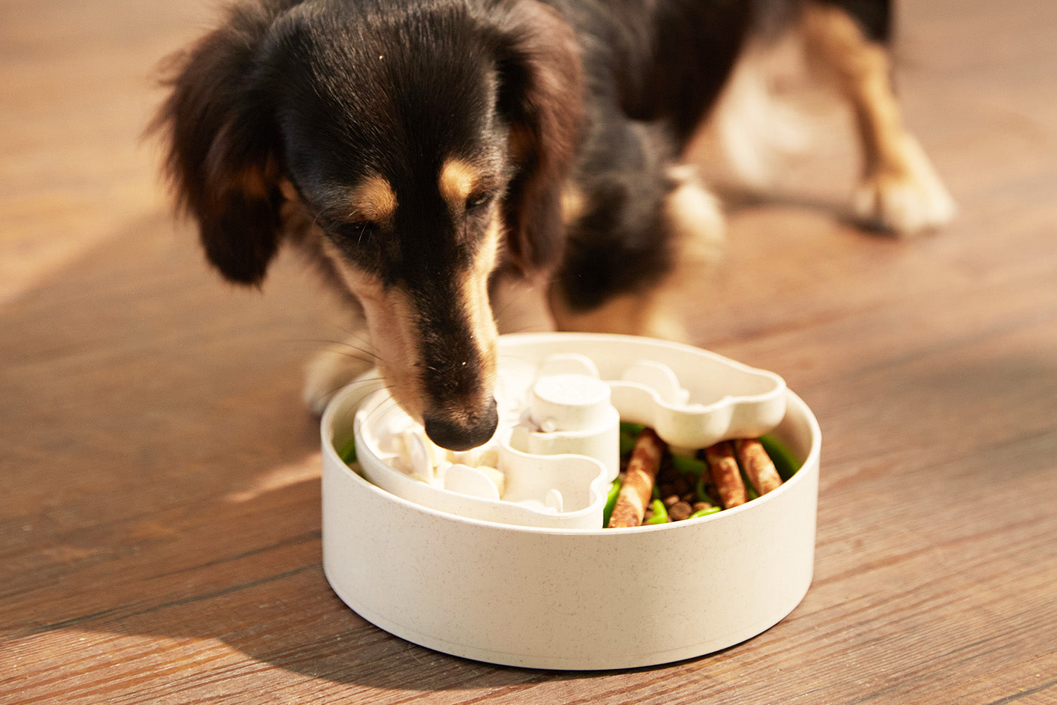 Ask Dr. Dog – Ditching the Bowl: How Puzzle Feeding Benefits Your Pets —  BAY WOOF