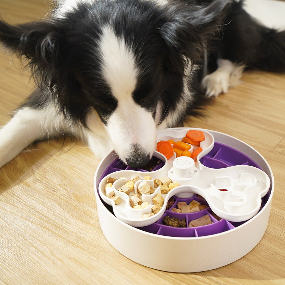 Puzzle Feeder™ Swirl - Slower than a Slow Feeder - For Dogs (Purple)