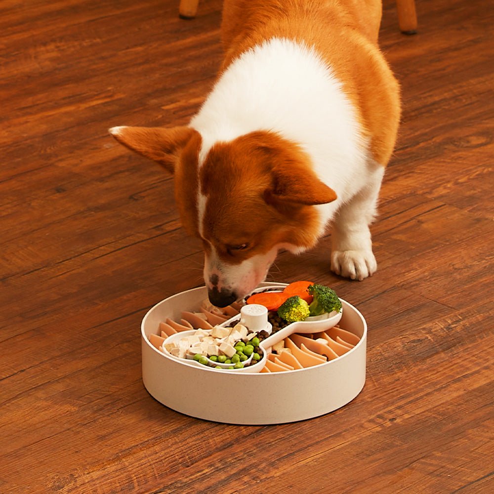 The Corgi eagerly eats from a Puzzle Feeder™ Wave - Slower than a Slow Feeder in Pink, with its compartments filled with vegetables and kibble, all positioned on a wooden floor to encourage healthy eating habits.