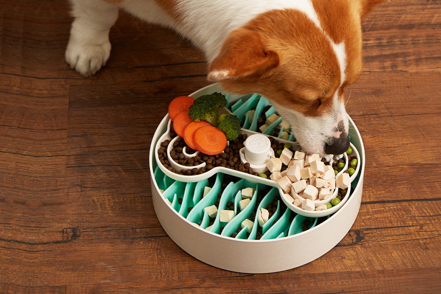 A dog eats from a turquoise dog bowl, designed as a slow feeder, filled with kibble, diced chicken, carrot slices, broccoli, and peas on a wooden floor.