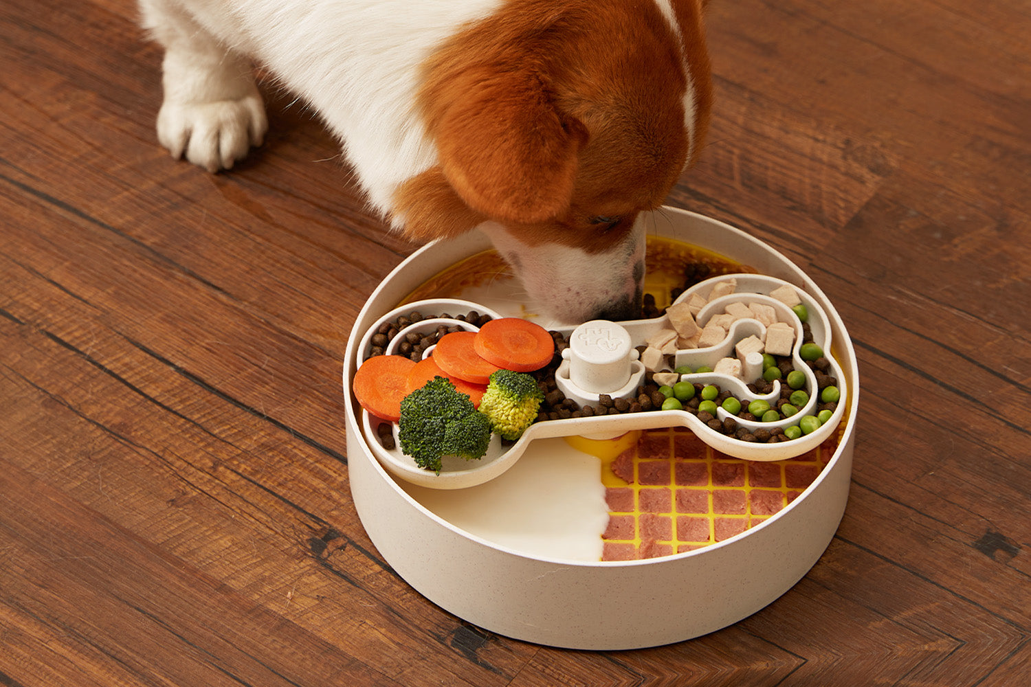 A dog is enjoying a meal from a puzzle feeder, a creative alternative to the traditional dog bowl, filled with dog food, carrots, broccoli, and peas on a wooden floor.