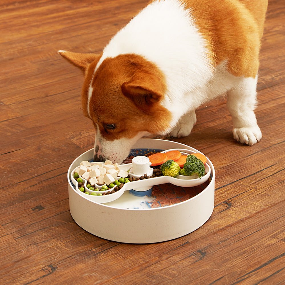 A corgi enjoys its meal from the Puzzle Licker Maze - Triple Textures, Triple Fun (Blue) by Puzzle Feeder™ on a wooden floor. The divided sections hold meat, carrots, peas, and broccoli, cleverly promoting dog dental health as the pooch navigates through its nutritious feast.