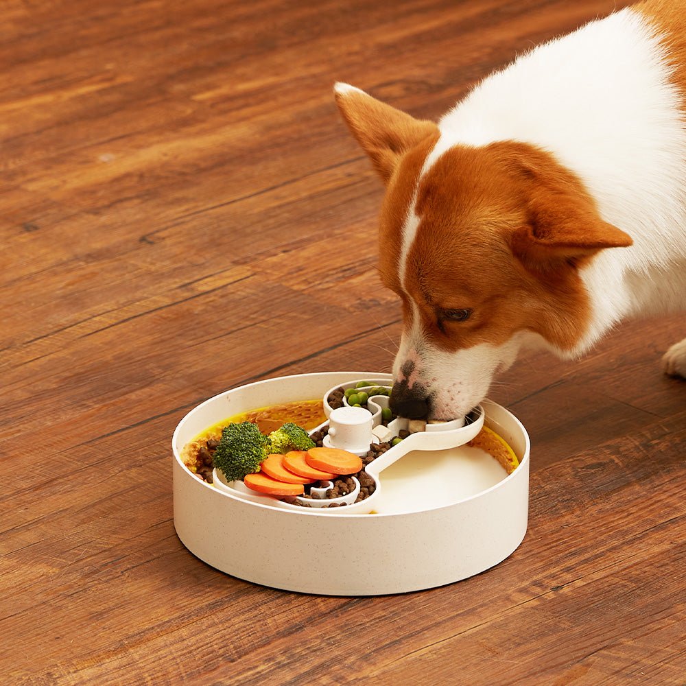 A corgi eats from a Puzzle Feeder™'s Puzzle Licker Maze - Triple Textures, Triple Fun (Yellow), filled with vegetables and dog food on a wooden floor, enhancing both fun and dog dental health.