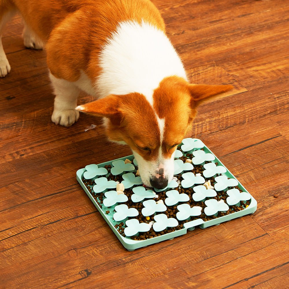 A corgi eagerly nibbles from the Puzzle Feeder™ Dog Puzzle Mat - Slow Feeding Mat (Green), securely held in place by an antislip suction cup on the wooden floor.