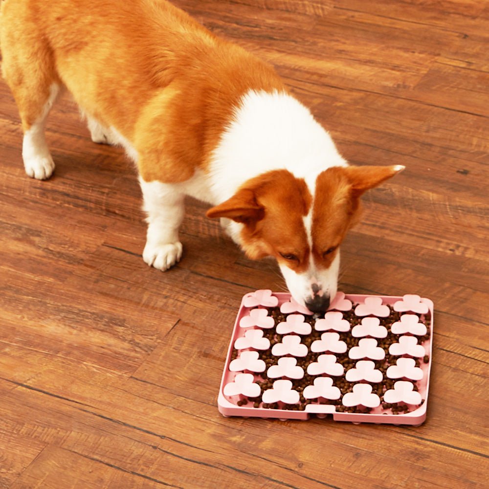 A corgi dog eagerly munches on dry food from the Puzzle Feeder™ Dog Puzzle Mat - Slow Feeding Mat in pink, which features bone-shaped sections and an antislip suction cup to ensure stability on the wooden floor.