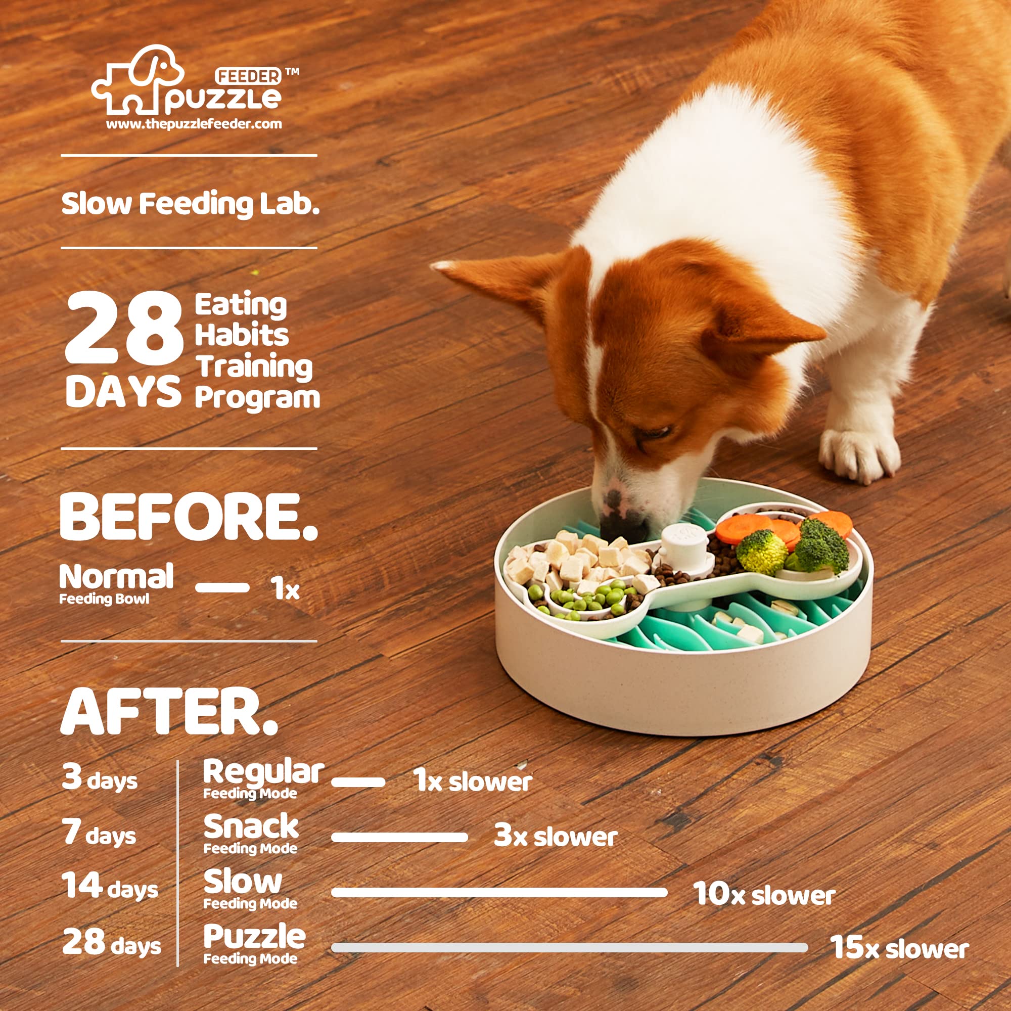 A dog is eating from a PuzzleFeeder™ Dog Bowl for Eating Habit Training (Lawn-Green) on a wooden floor. The image showcases the PuzzleFeeder™ training program, designed to slow down eating habits over 28 days by progressively changing the feeding mode and bowl.