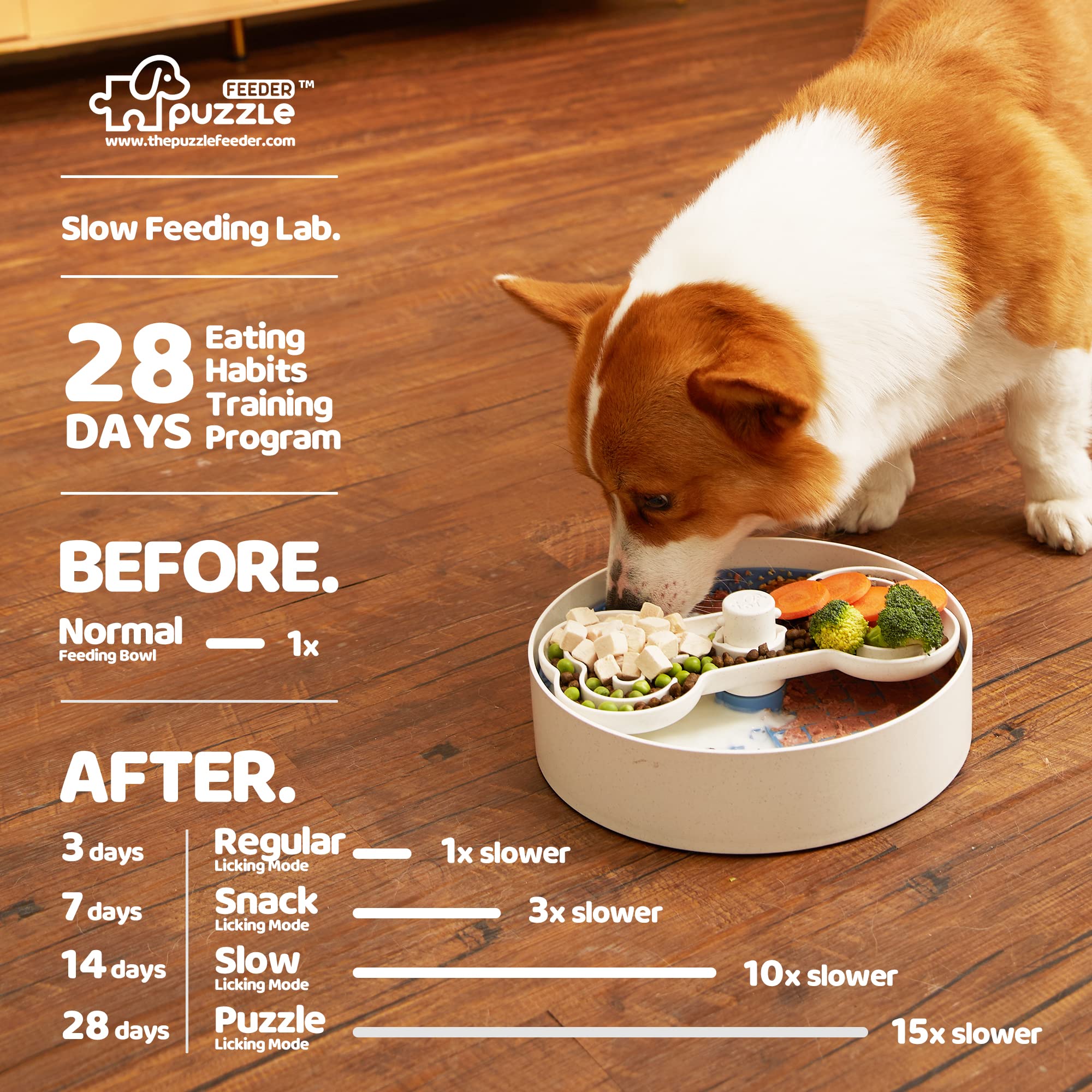 A dog using the Puzzle Lick Bowl from PuzzleFeeder™. Text on image describes a 28-day eating habits training program with different feeding modes to slow down eating speed.