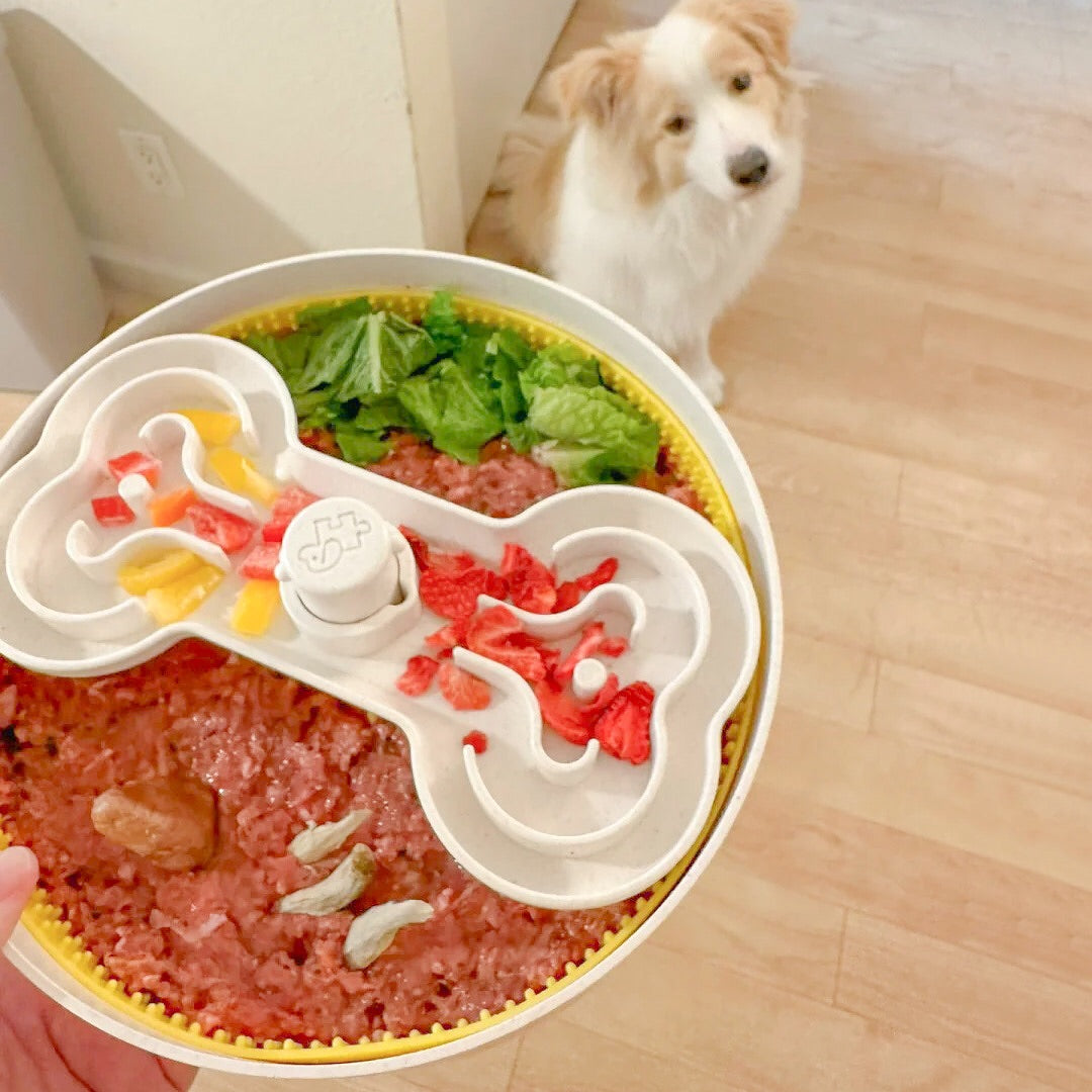 Dog Puzzle Tumbler | Slow Feeder Enrichment Toy for Small & Medium Dogs | Puzzle Feeder™