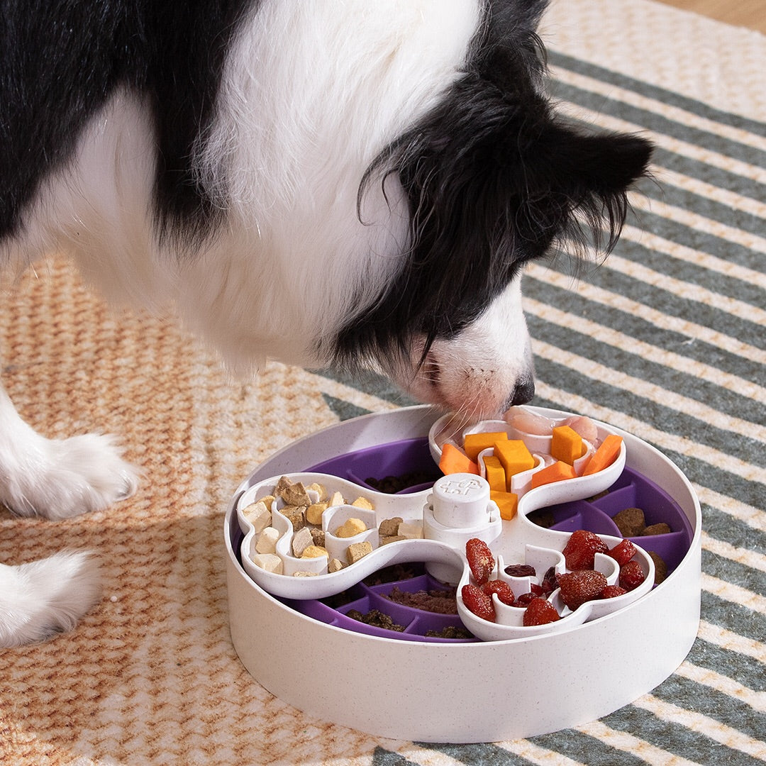 Dog Puzzle Tumbler | Slow Feeder Enrichment Toy for Small & Medium Dogs | Puzzle Feeder™