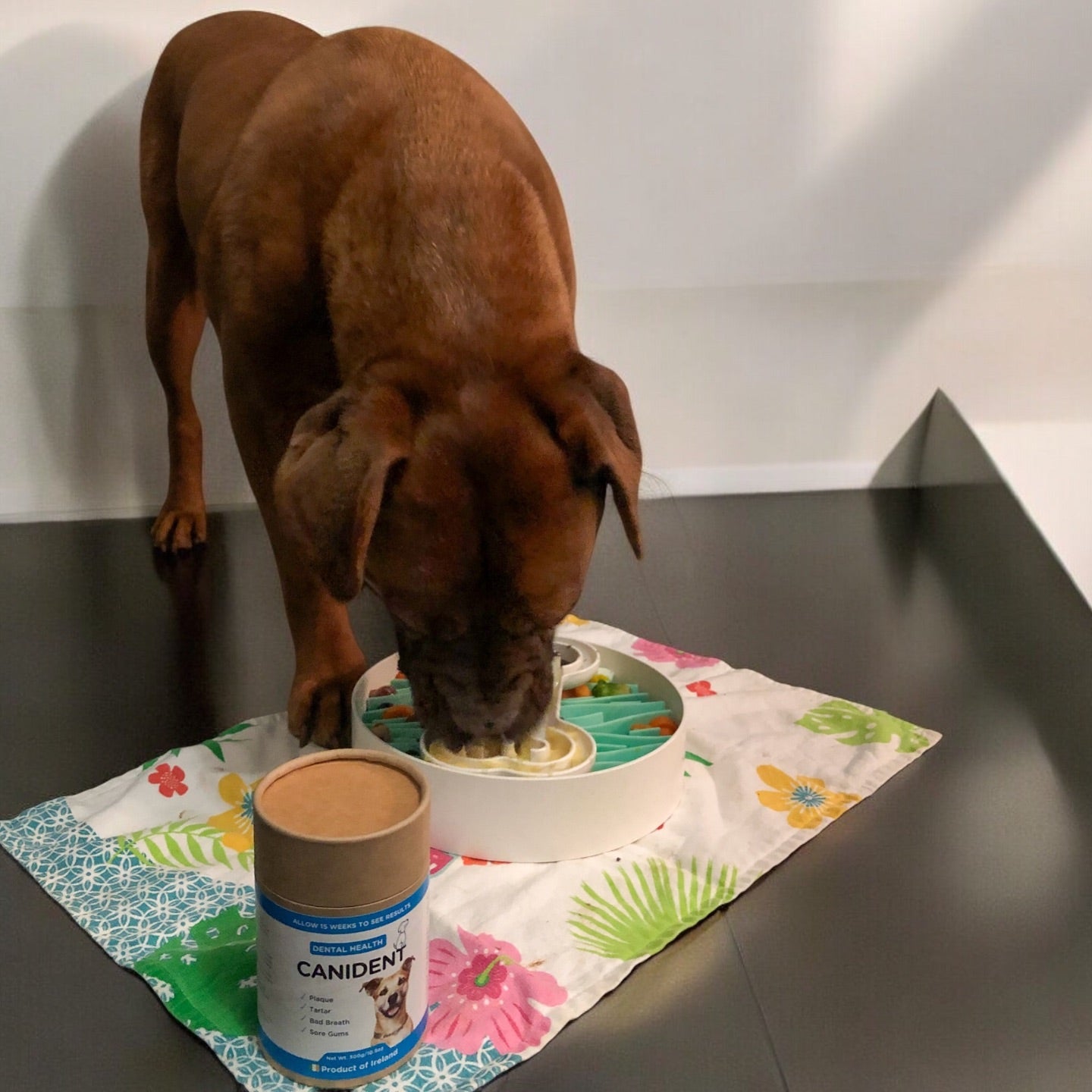 Dog Puzzle Tumbler | Slow Feeder Enrichment Toy for Small & Medium Dogs | Puzzle Feeder™