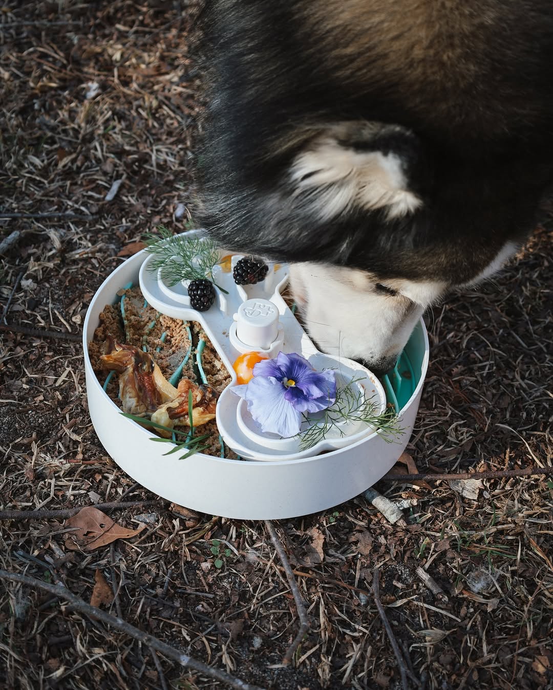 Dog Puzzle Tumbler | Slow Feeder Enrichment Toy for Small & Medium Dogs | Puzzle Feeder™