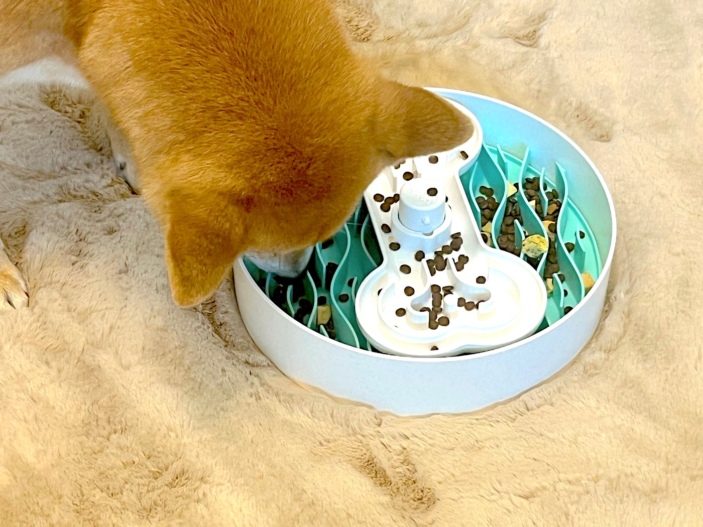 Puzzle Feeder™ / Dog Slow Feeder Bowl for Eating Habit Training (Coral